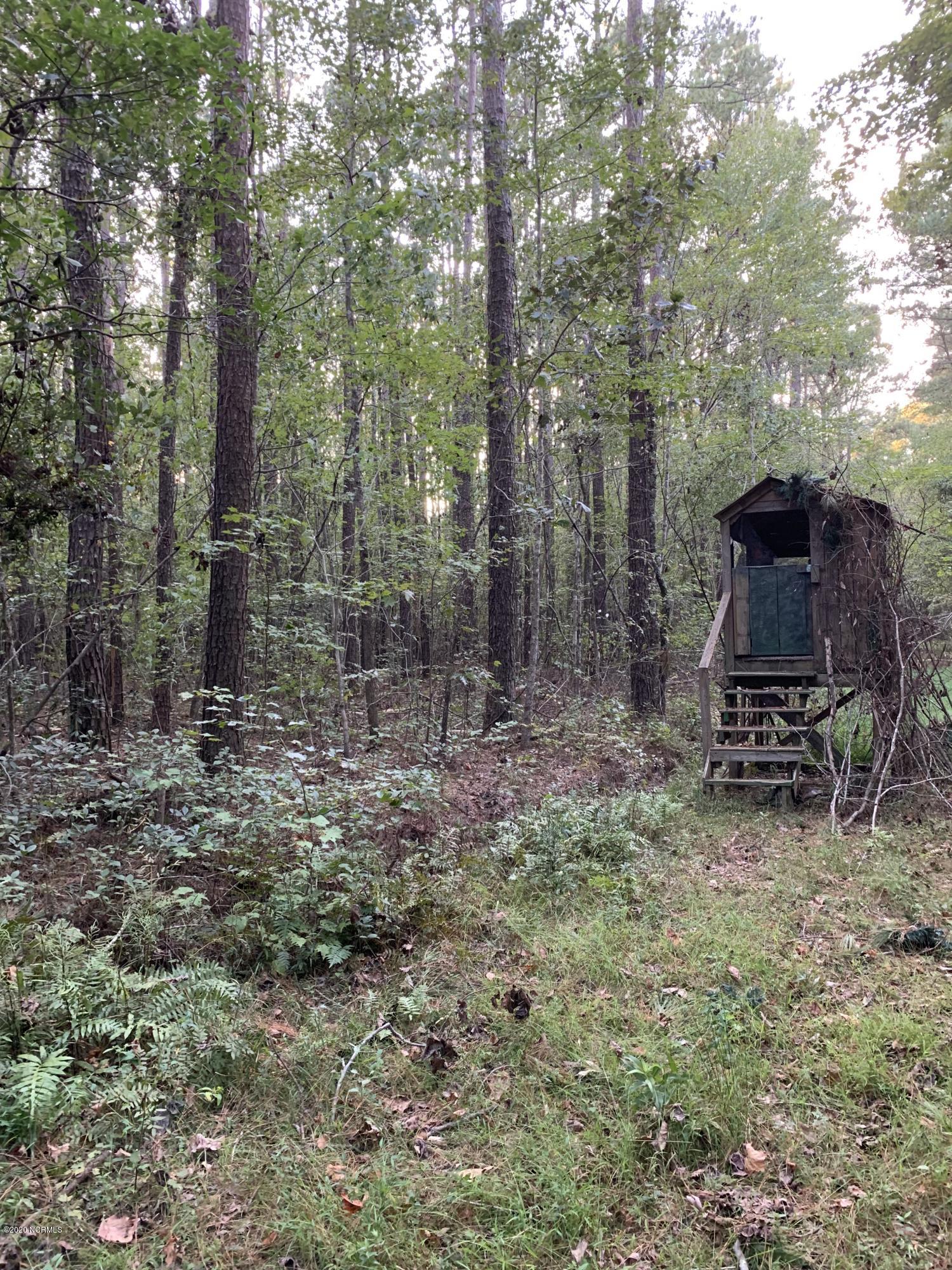 0 Mt Pleasant Road Creswell, NC 27928 - Photo 6 of 14 IMG_1631