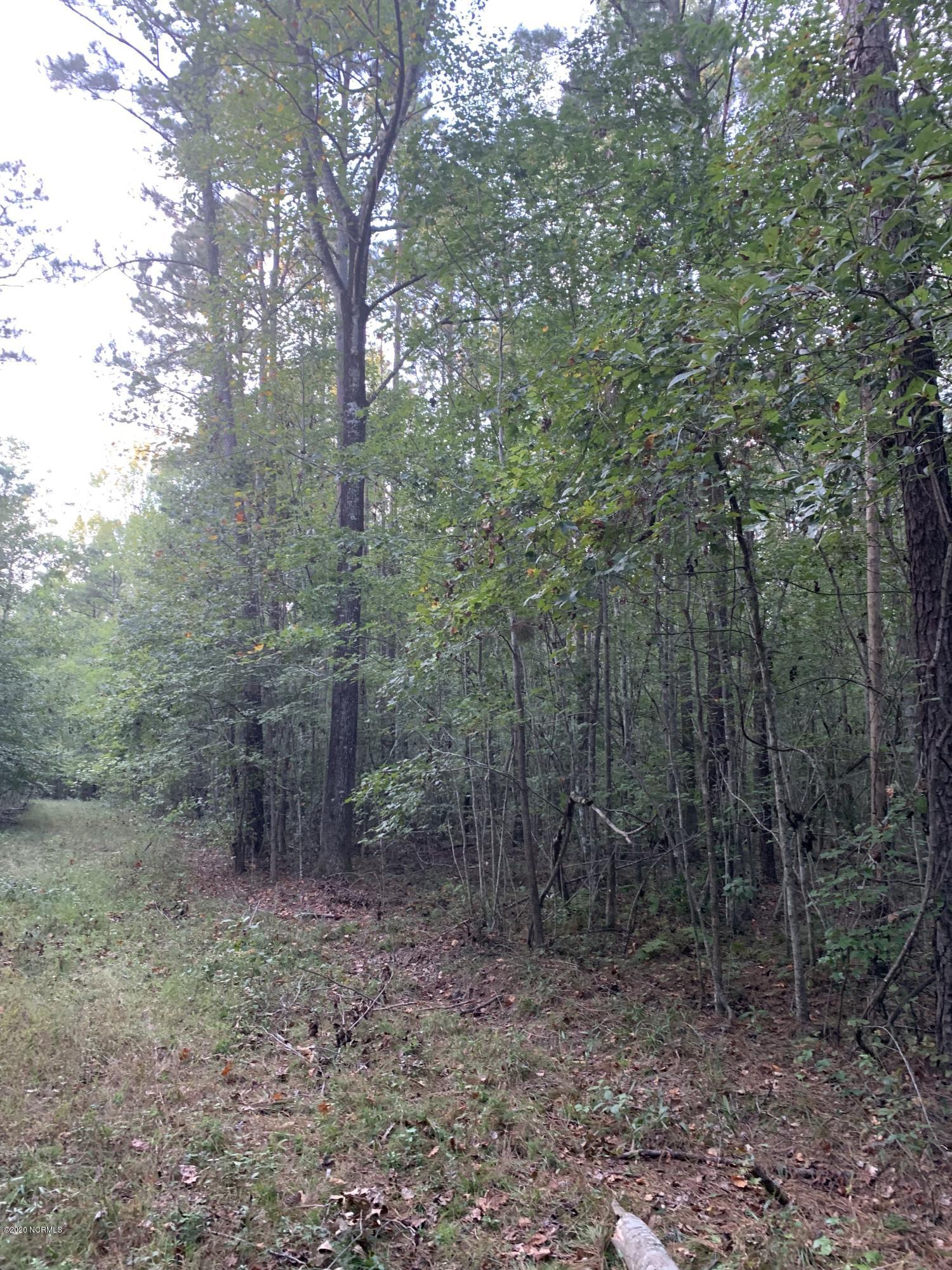 0 Mt Pleasant Road Creswell, NC 27928 - Photo 10 of 14 IMG_1637