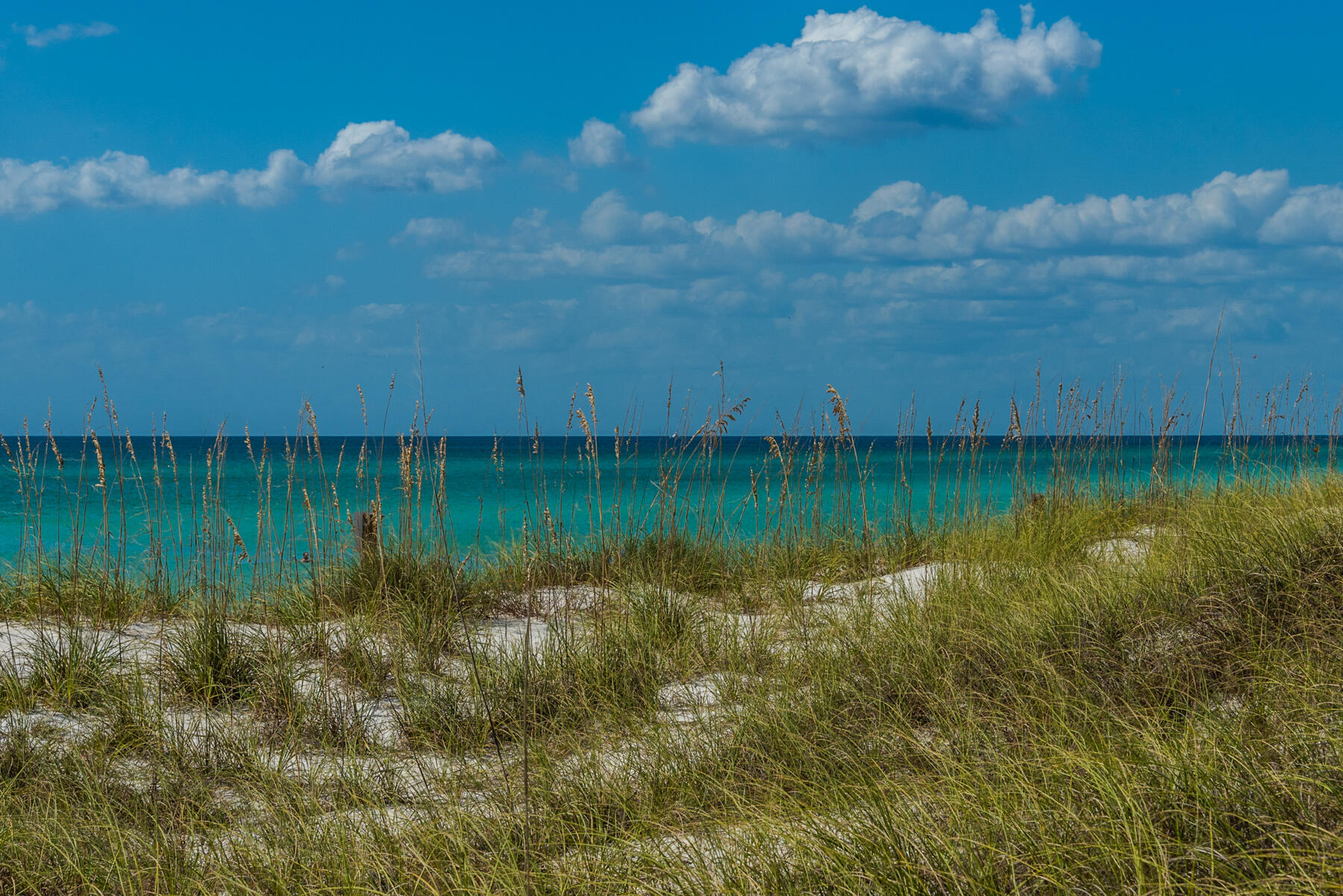 15817 Front Beach Road, Unit 1403W Panama City Beach, FL 32413 - Photo 63 of 65 38_Calypso_Amenities_20171005_039