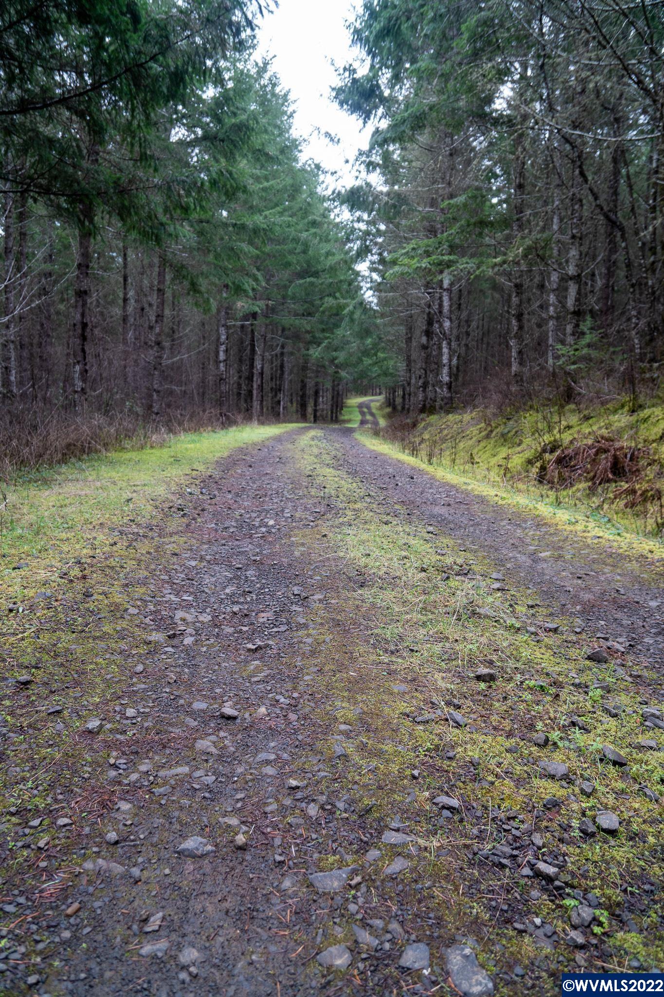 Na Green Peak Road Monroe, OR 97456 - Photo 16 of 26 Gallery Image 16