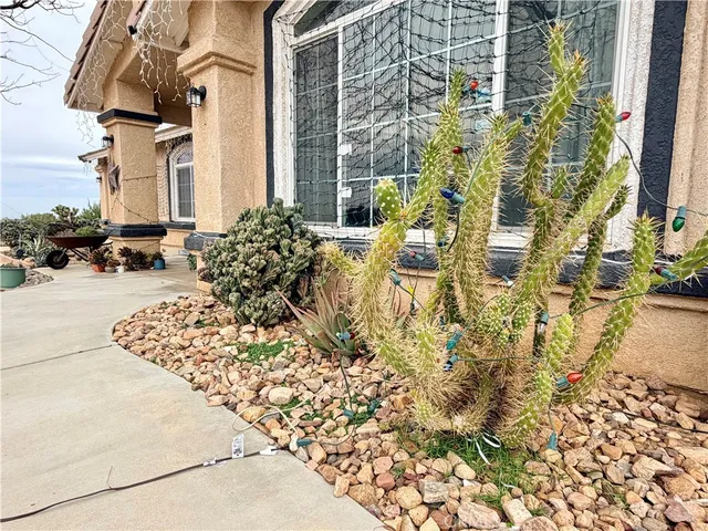 a view of a yard with a car parked in front of it
