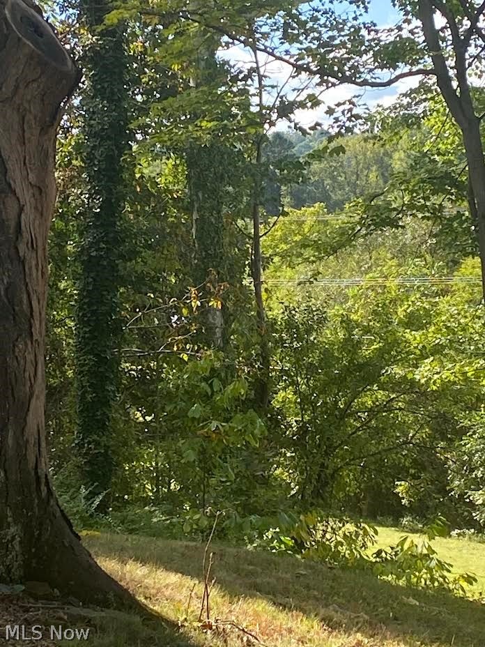116 Rathbone Road Marietta, OH 45750 - Photo 35 of 35 Wooded Lot