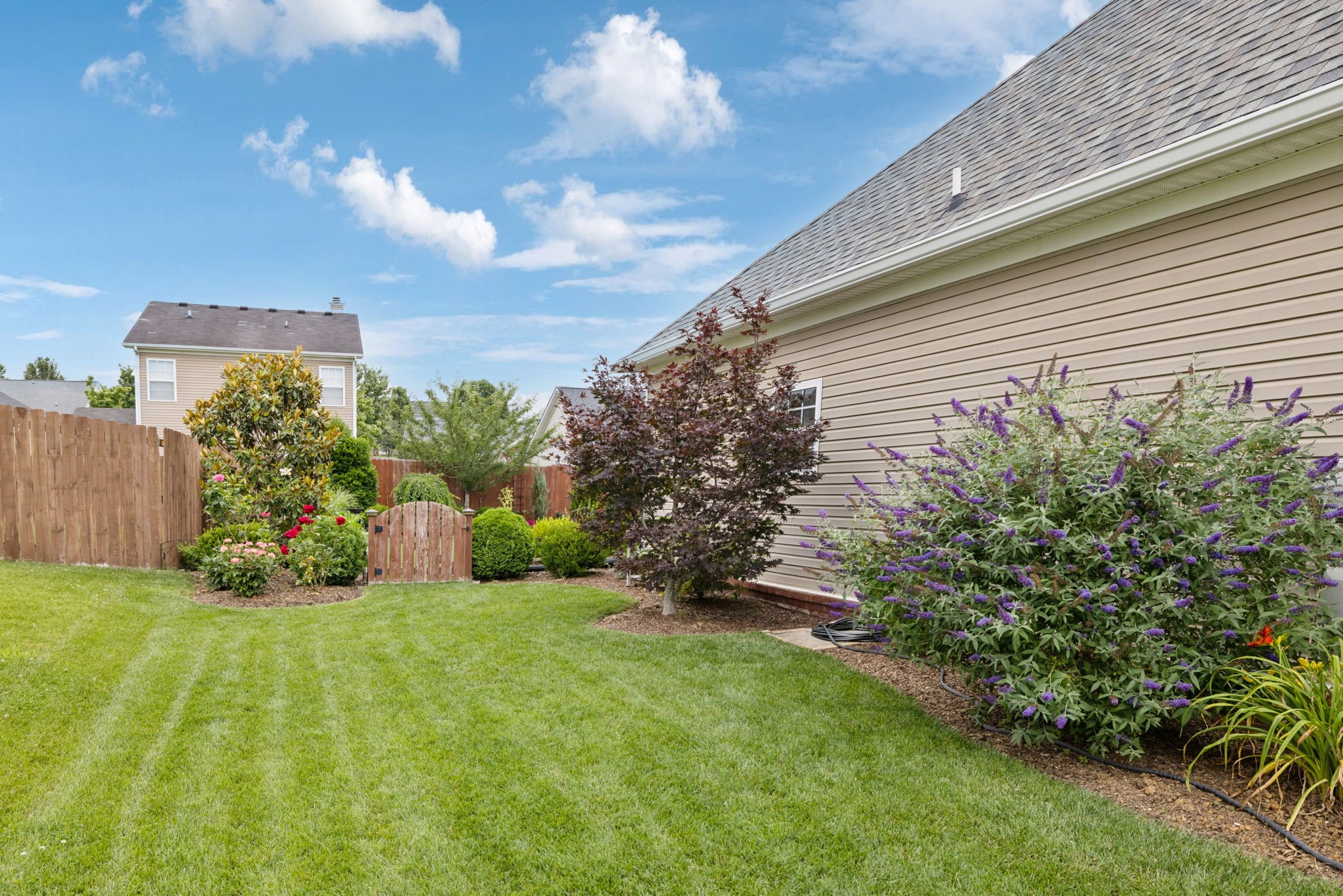 4060 Sequoia Trail Spring Hill, TN 37174 - Photo 38 of 41 a view of a back yard of the house