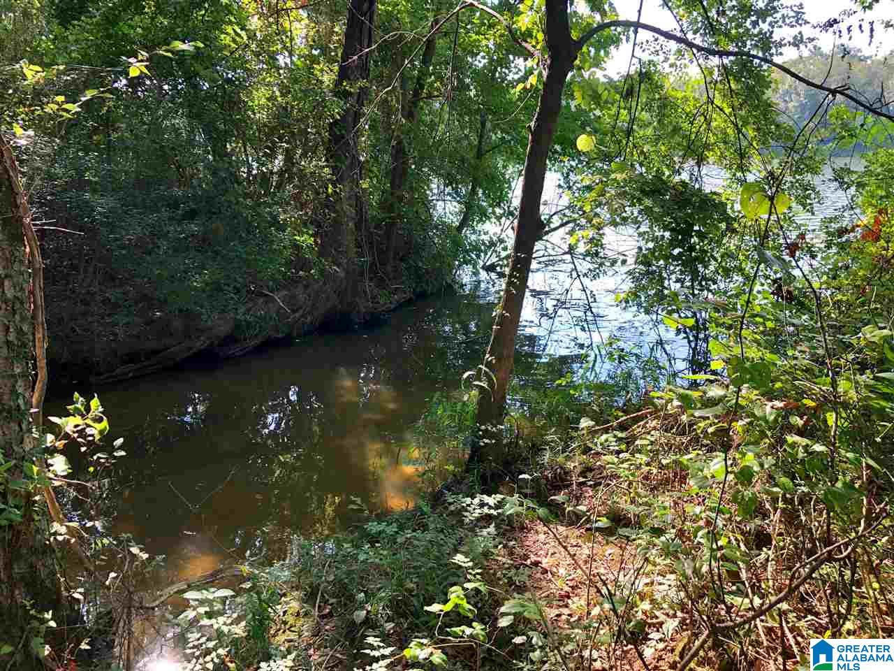 0 Brooks Road Ragland, AL 35131 - Photo 26 of 49