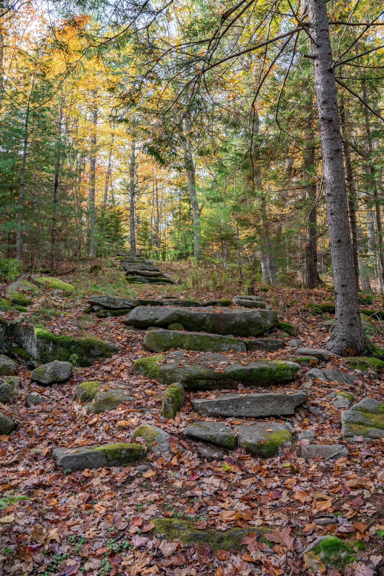 52 Oak Run Road Westport Island, ME 04578 - Photo 130 of 200
