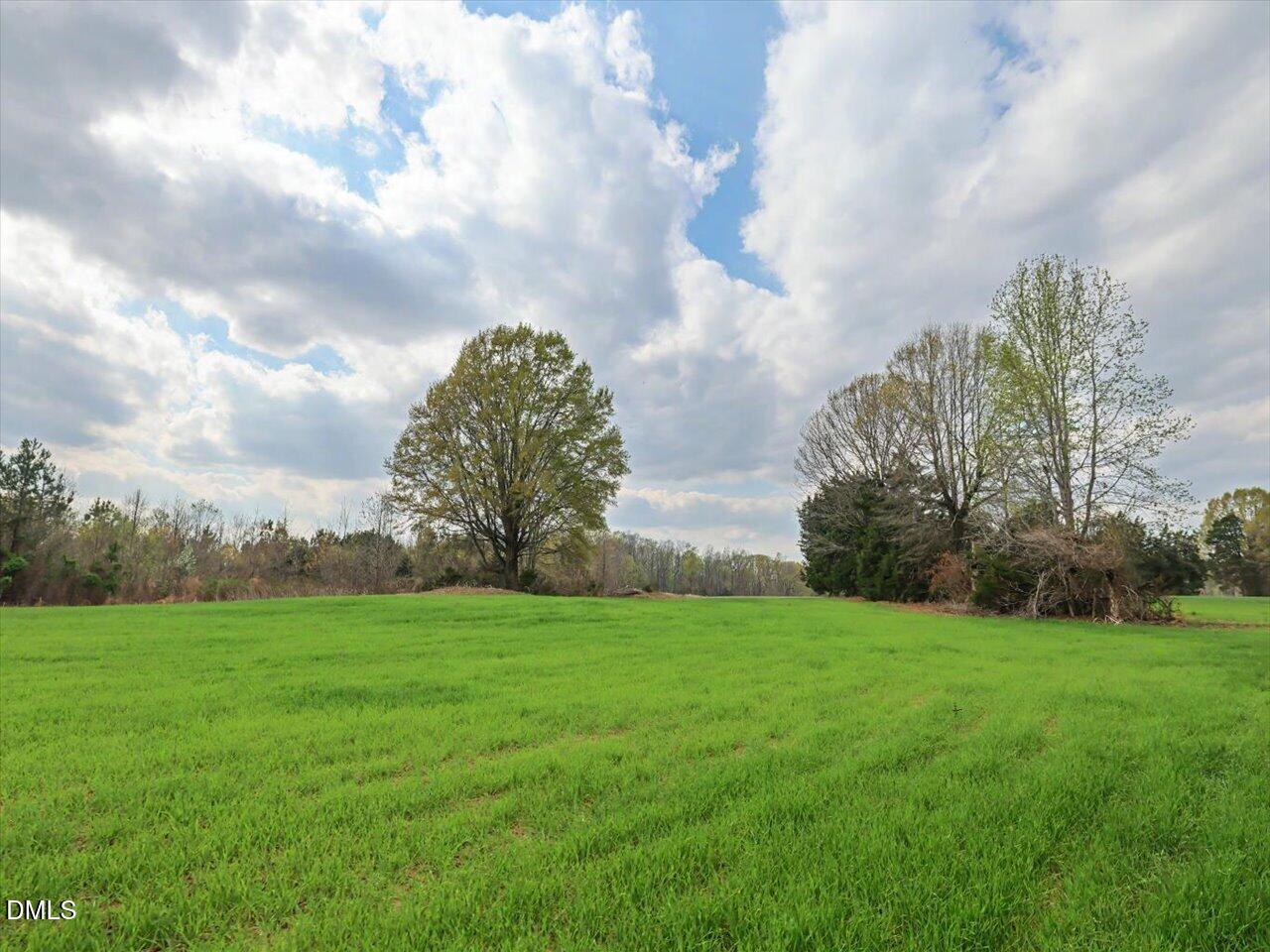 7793 Ridgeville Road Leasburg, NC 27291 - Photo 24 of 91