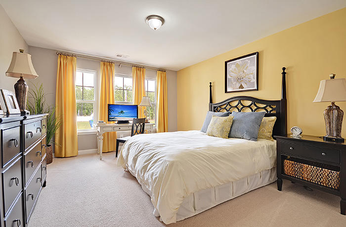332 Bracken Fern Road Moncks Corner, SC 29461 - Photo 11 of 20 fanning bedroom2