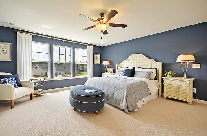 332 Bracken Fern Road Moncks Corner, SC 29461 - Photo 8 of 20 fanning master bedroom