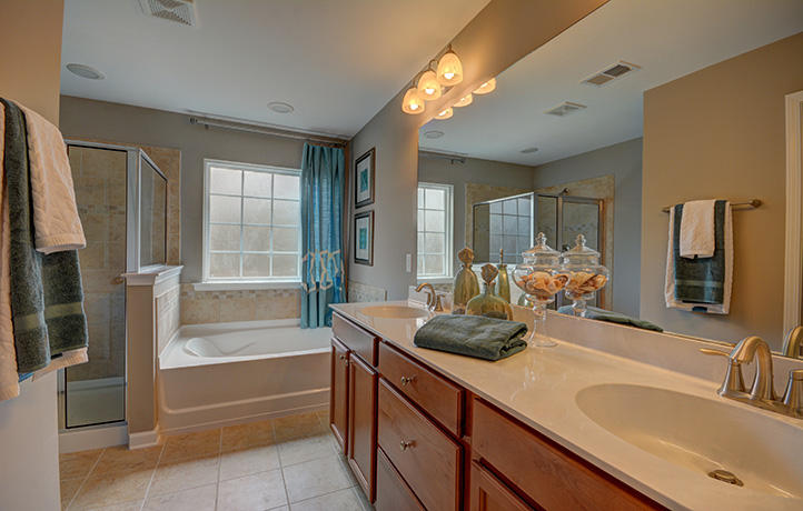 332 Bracken Fern Road Moncks Corner, SC 29461 - Photo 9 of 20 masterbath