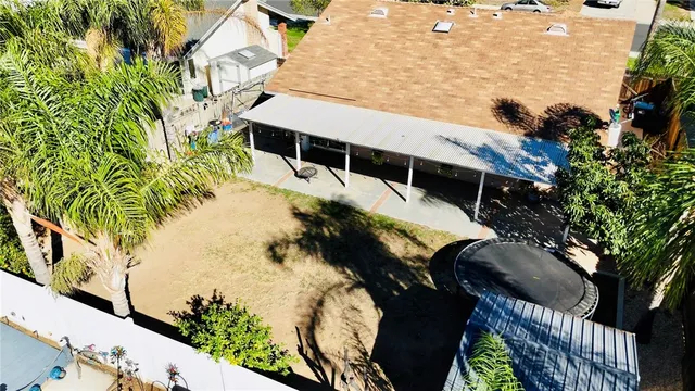 a plant that is in front of flowers