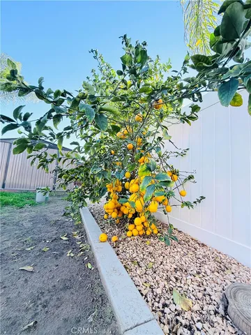 a view of a backyard with potted plants