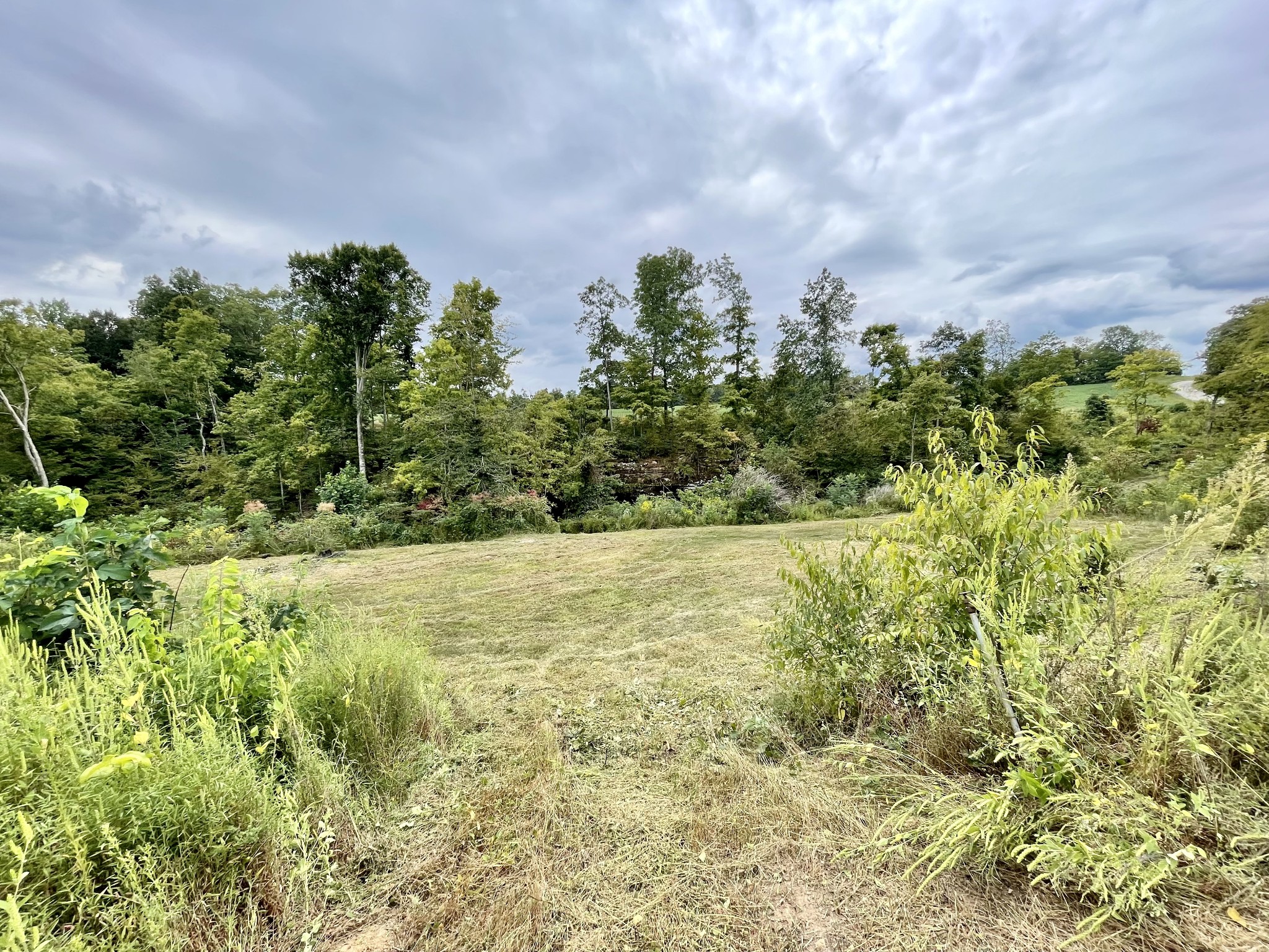 13927 Fruithill Red Bridge Road Crofton, KY 42217 - Photo 23 of 29 Gallery Image 23