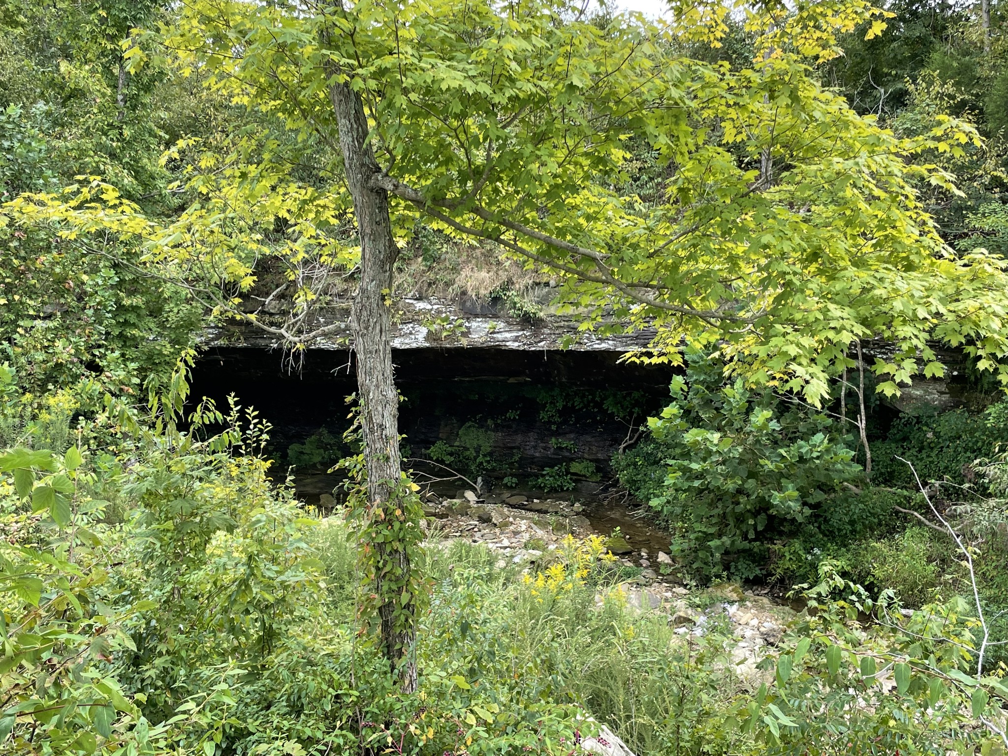 13927 Fruithill Red Bridge Road Crofton, KY 42217 - Photo 24 of 29 Gallery Image 24