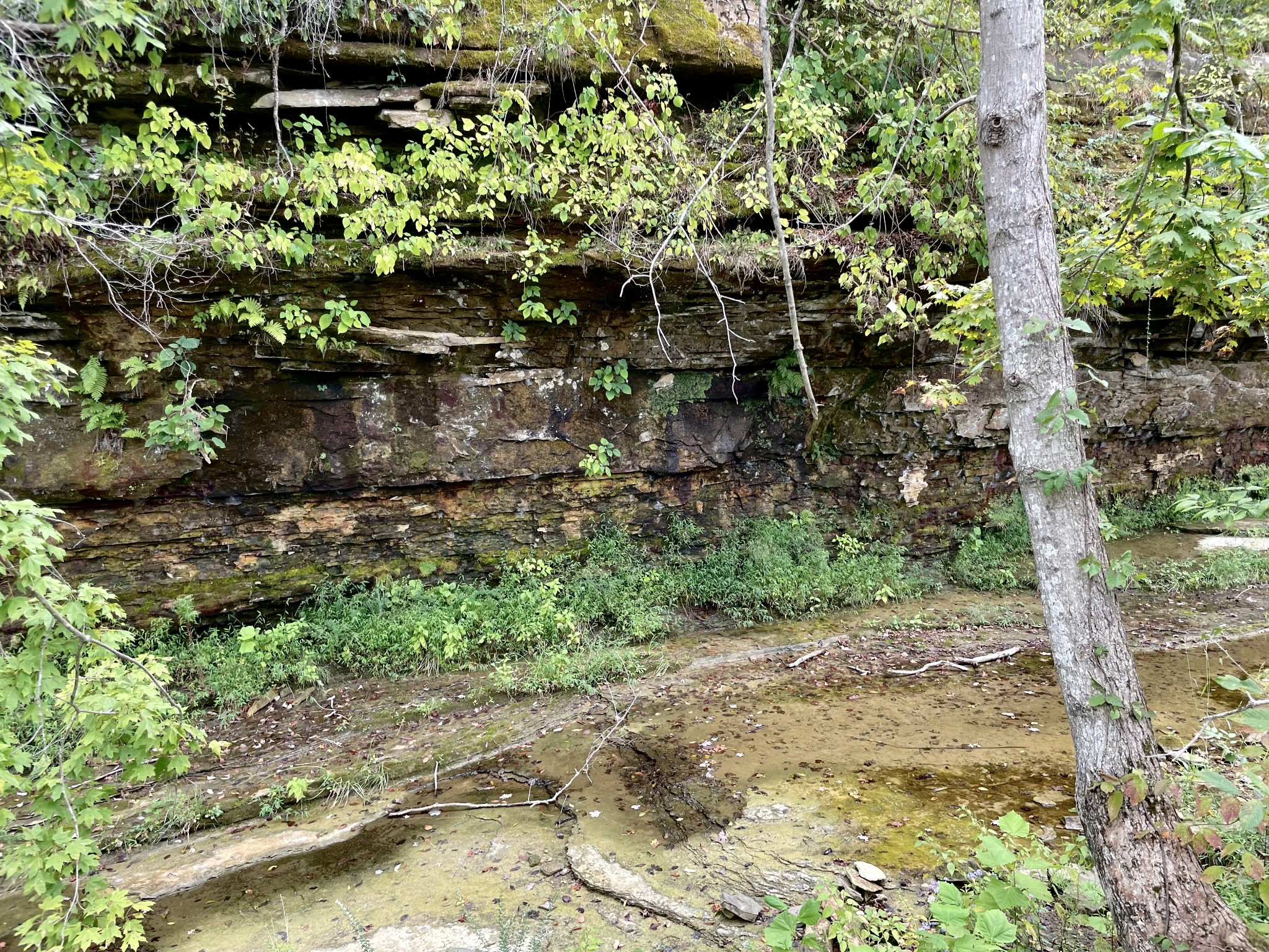 13927 Fruithill Red Bridge Road Crofton, KY 42217 - Photo 25 of 29 Gallery Image 25