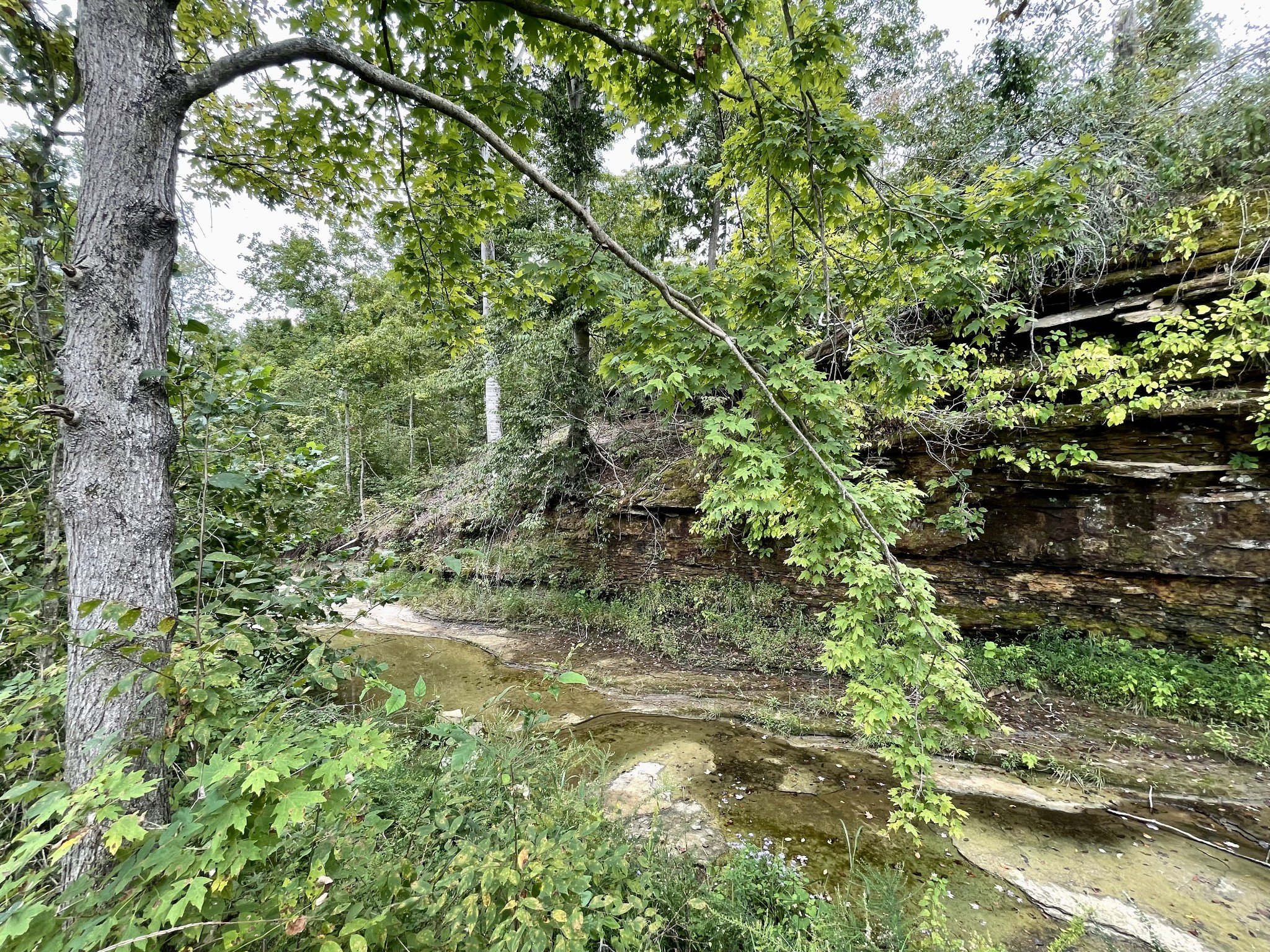 13927 Fruithill Red Bridge Road Crofton, KY 42217 - Photo 26 of 29 Gallery Image 26