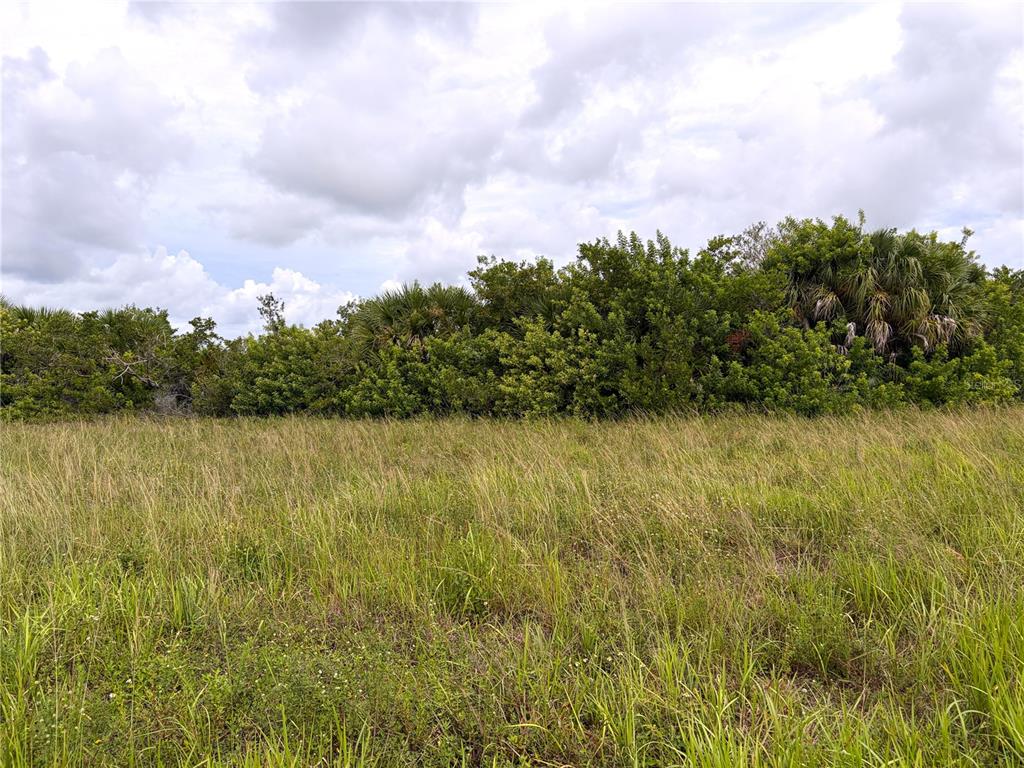 12466 Sedan Road Port Charlotte, FL 33981 - Photo 5 of 9 Gallery Image 5