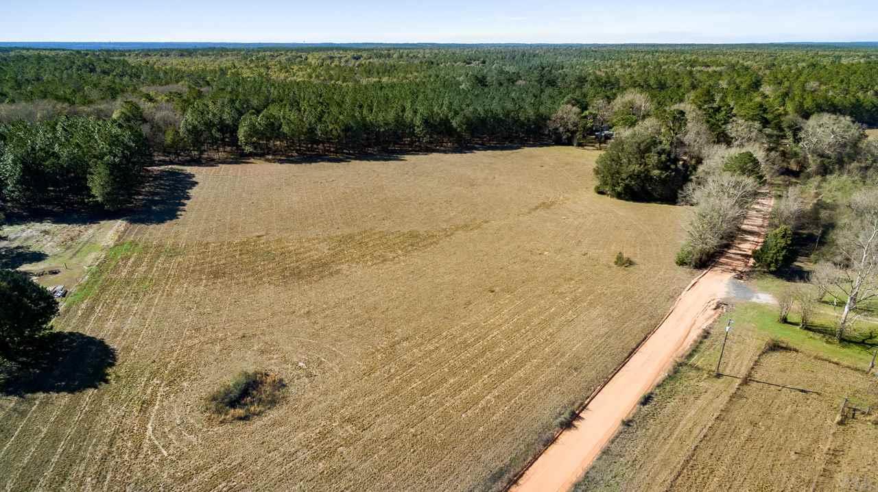 6025 Lake Ella Road Crestview, FL 32539 - Photo 37 of 50
