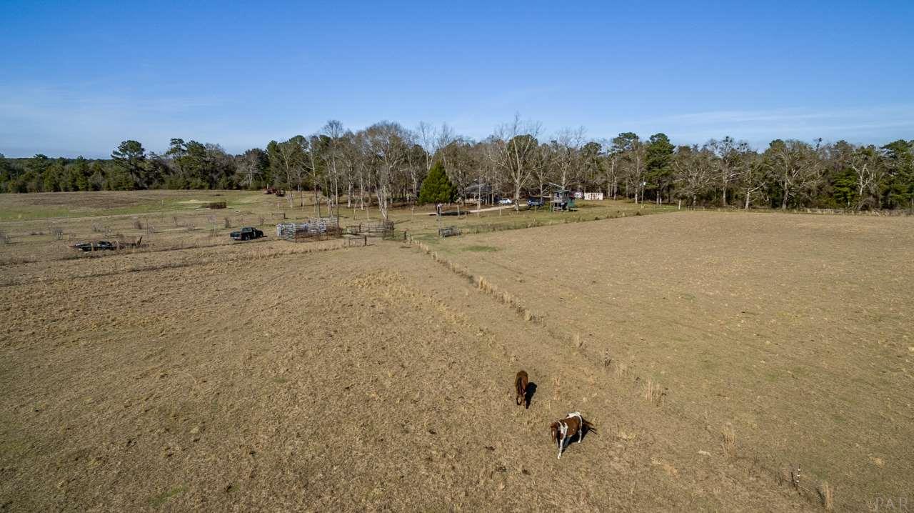 6025 Lake Ella Road Crestview, FL 32539 - Photo 38 of 50