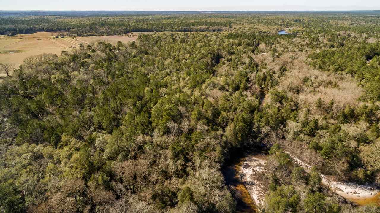 6025 Lake Ella Road Crestview, FL 32539 - Photo 4 of 50