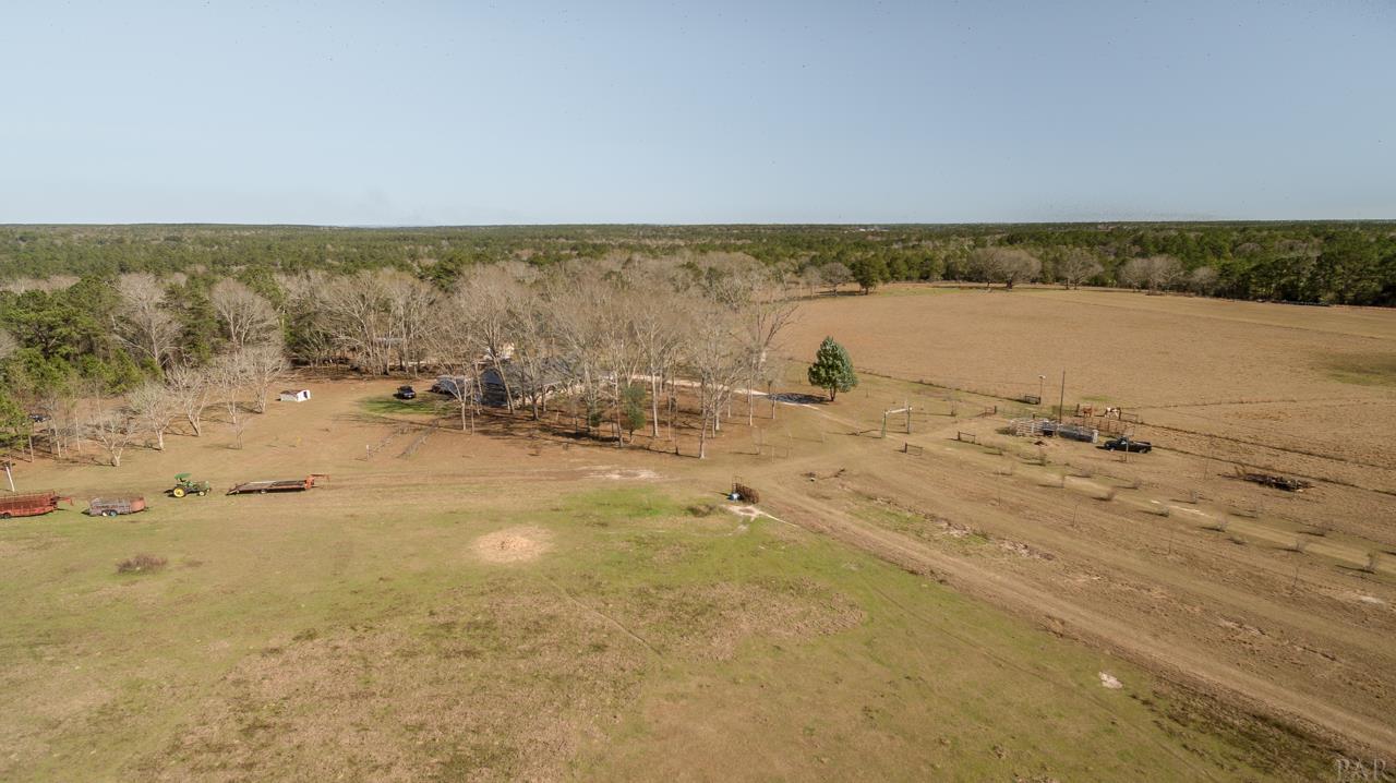 6025 Lake Ella Road Crestview, FL 32539 - Photo 41 of 50