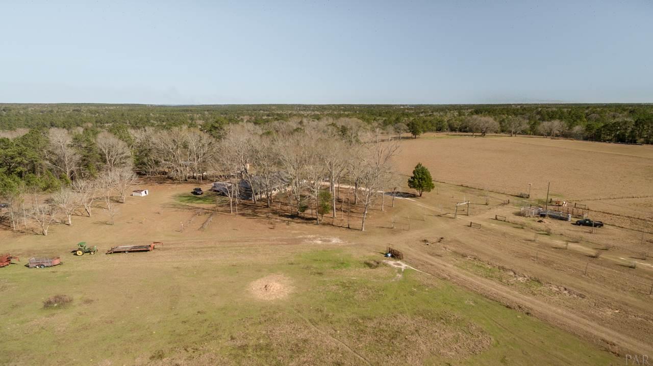 6025 Lake Ella Road Crestview, FL 32539 - Photo 42 of 50