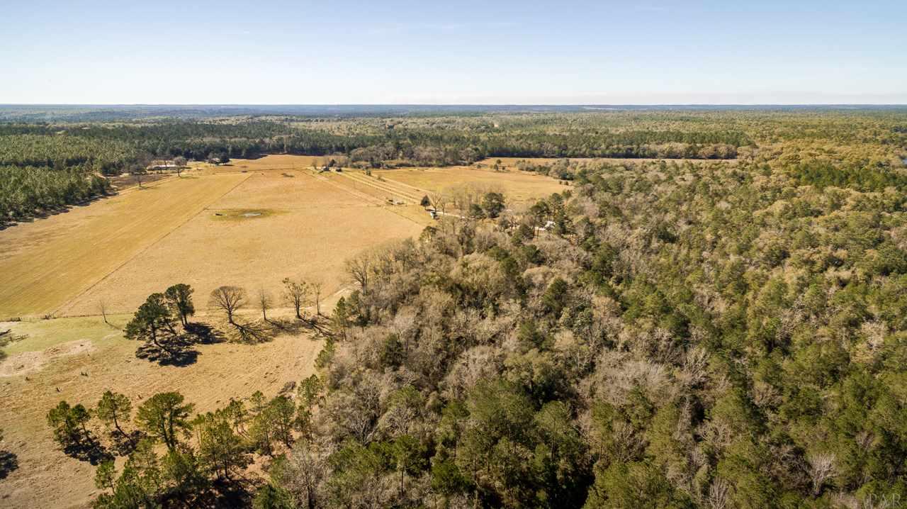 6025 Lake Ella Road Crestview, FL 32539 - Photo 44 of 50