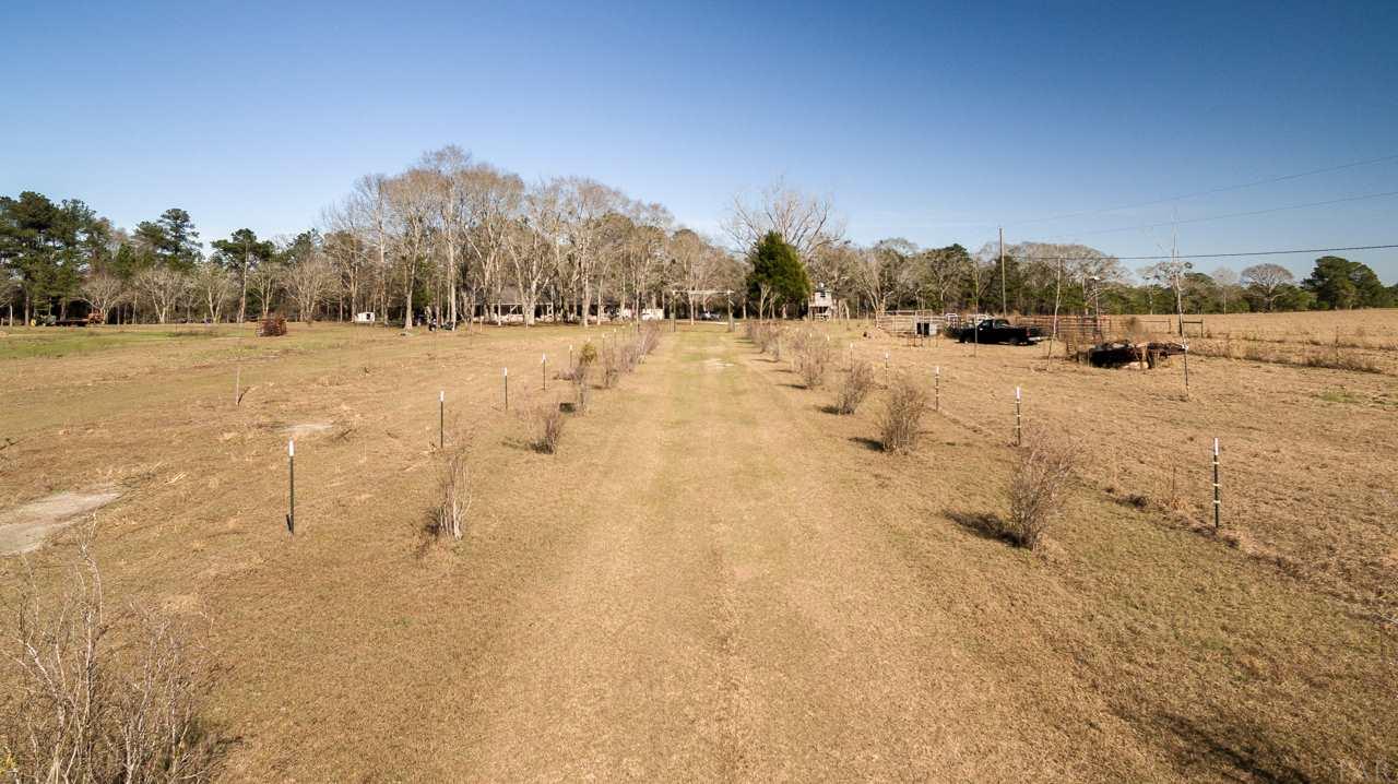 6025 Lake Ella Road Crestview, FL 32539 - Photo 45 of 50