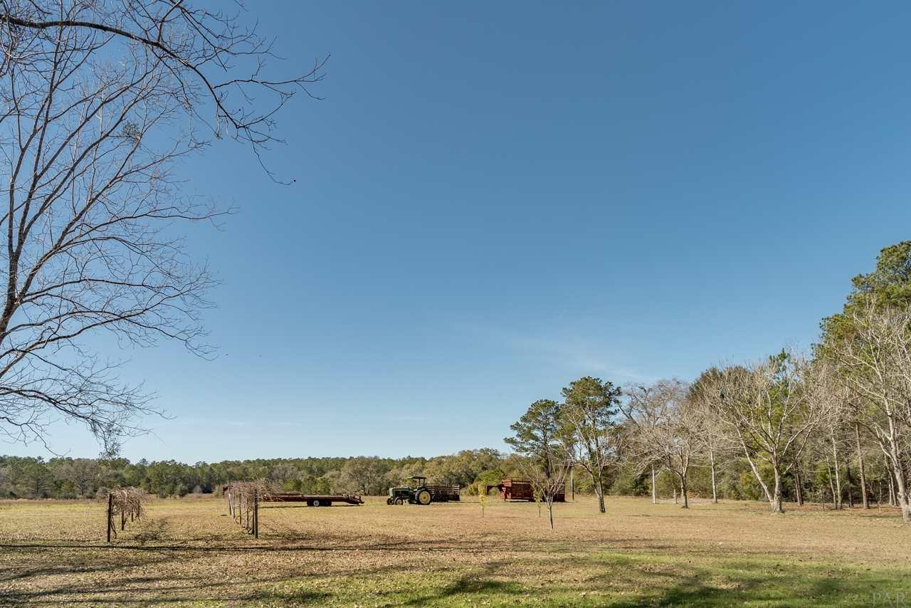 6025 Lake Ella Road Crestview, FL 32539 - Photo 47 of 50