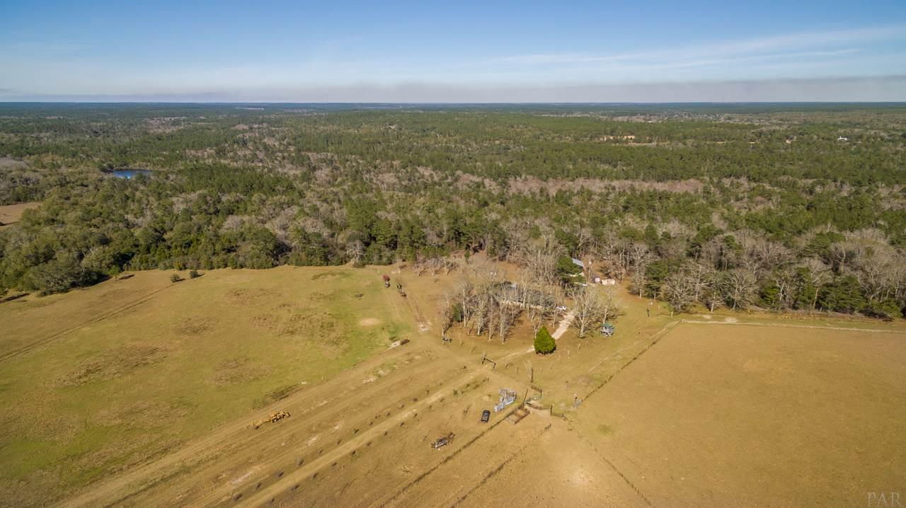 6025 Lake Ella Road Crestview, FL 32539 - Photo 48 of 50