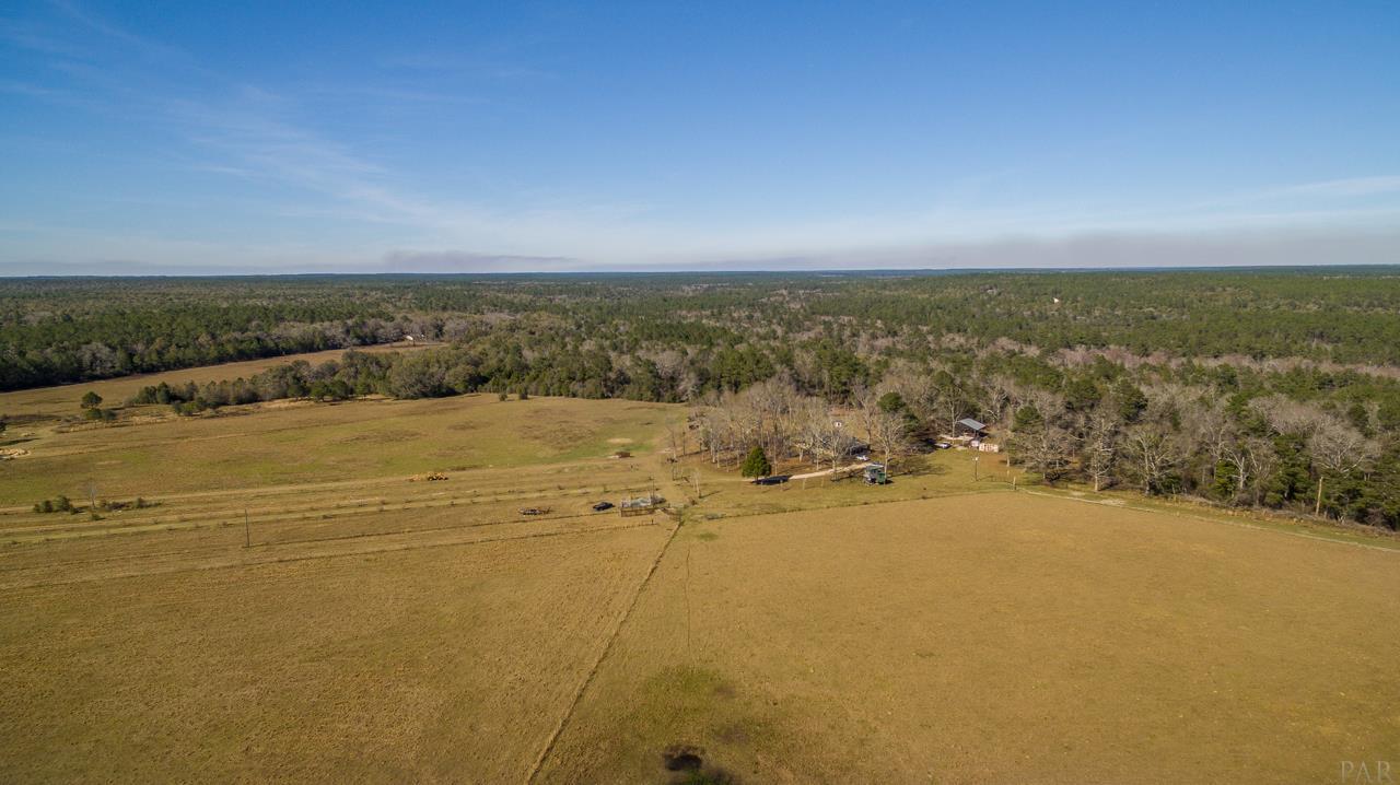 6025 Lake Ella Road Crestview, FL 32539 - Photo 49 of 50