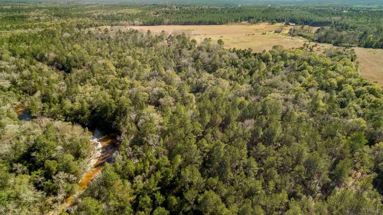 6025 Lake Ella Road Crestview, FL 32539 - Photo 5 of 50
