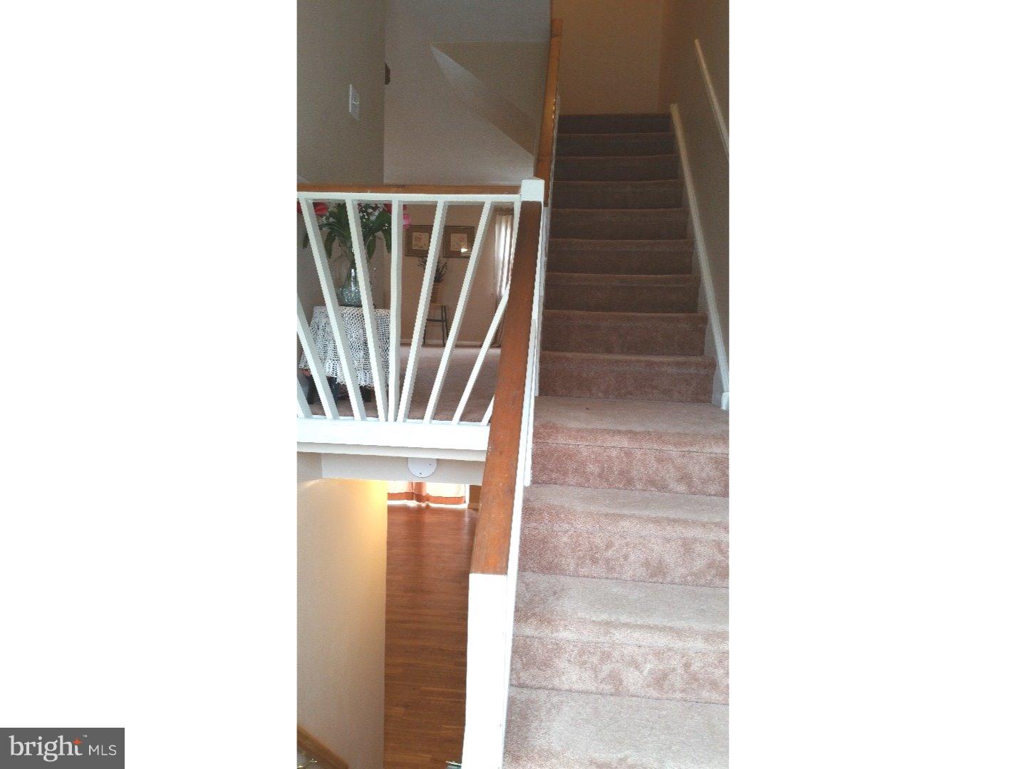 3211 Holly Road Philadelphia, PA 19154 - Photo 18 of 19