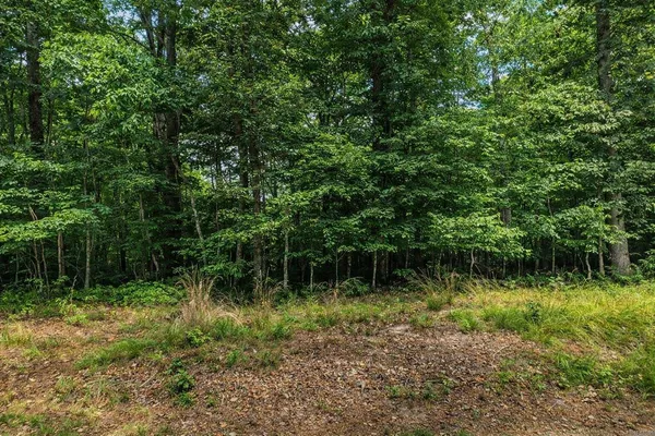 $15,000 | 192 Albemarle Lane, Crossville, TN 38558