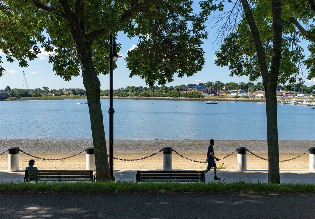 74 Sydney Street, Unit 2 Boston, MA 02125 - Photo 22 of 28 a view of lake