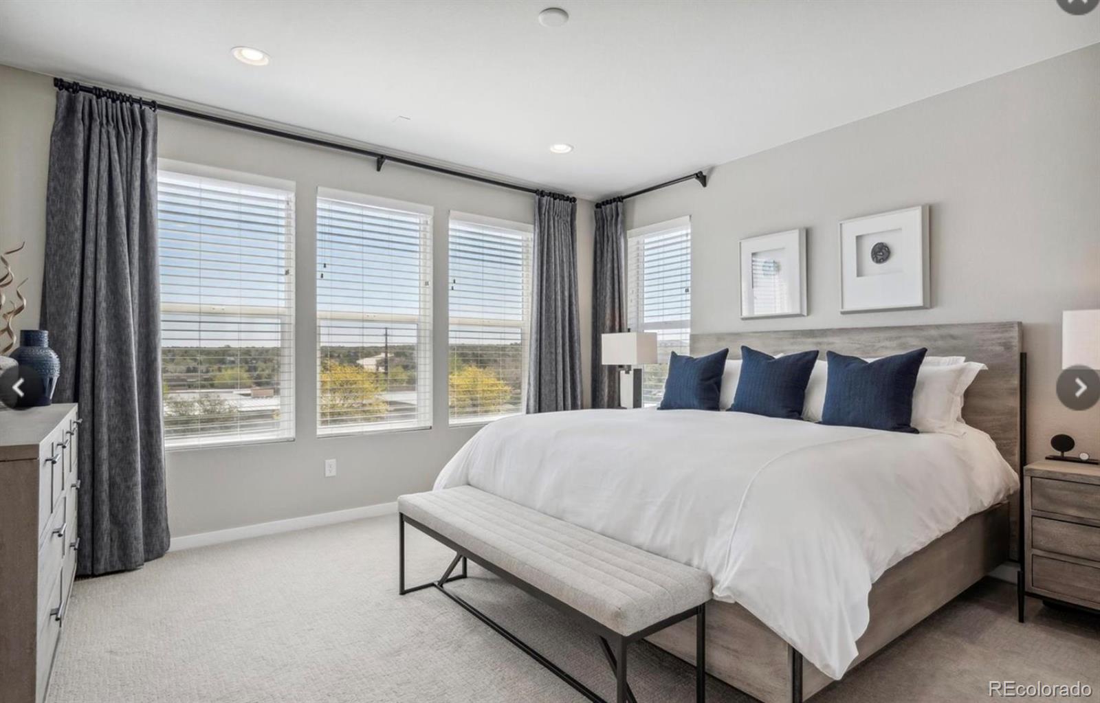 8926 Ramblestone Street Highlands Ranch, CO 80129 - Photo 7 of 22