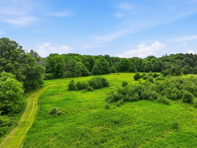 0 Holst Road Pittsville, WI 54466 - Photo 12 of 18
