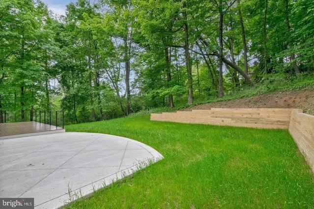 a view of a park with a trees