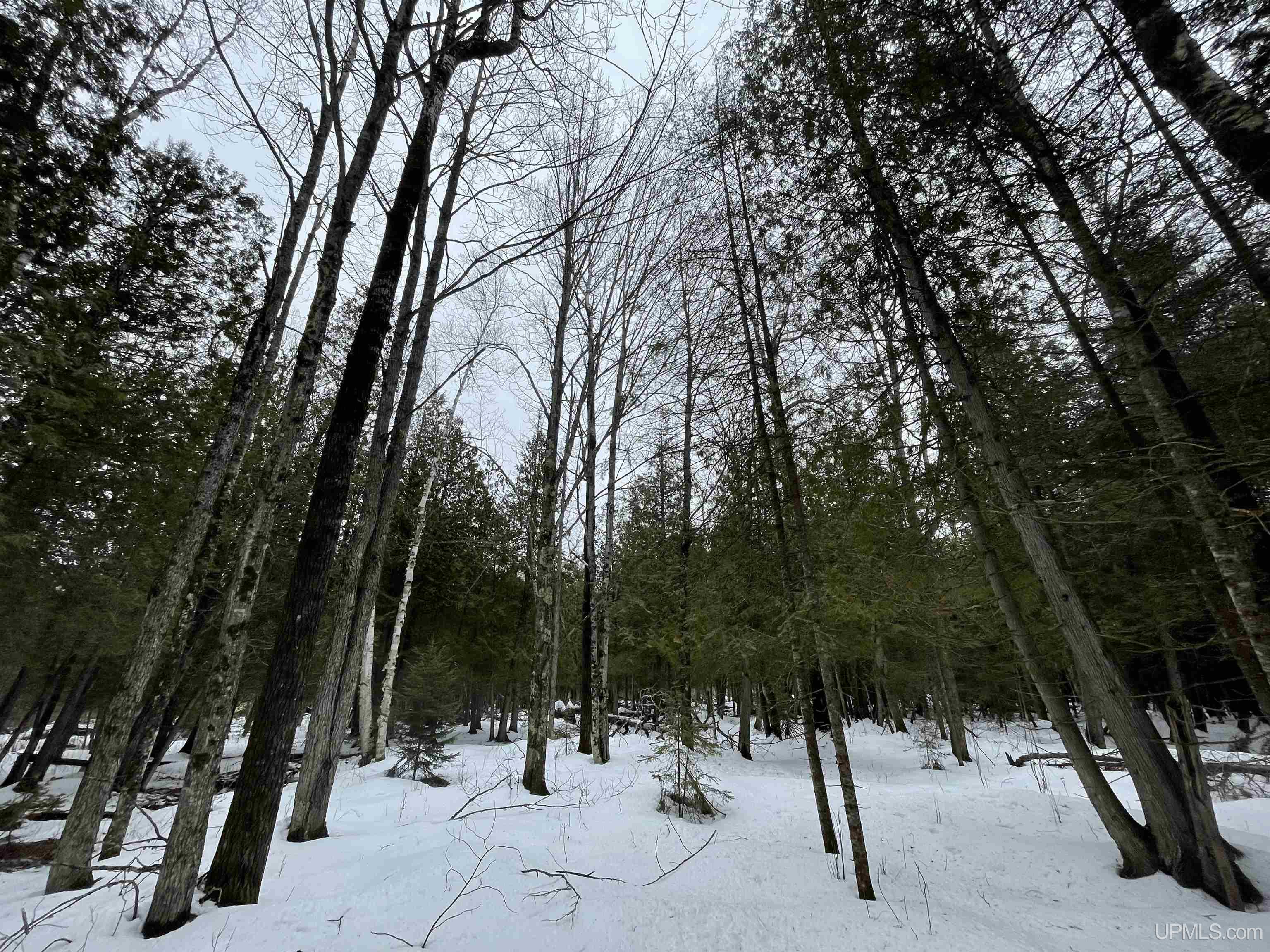 11128 Co Road Rapid River, MI 49878 - Photo 86 of 97