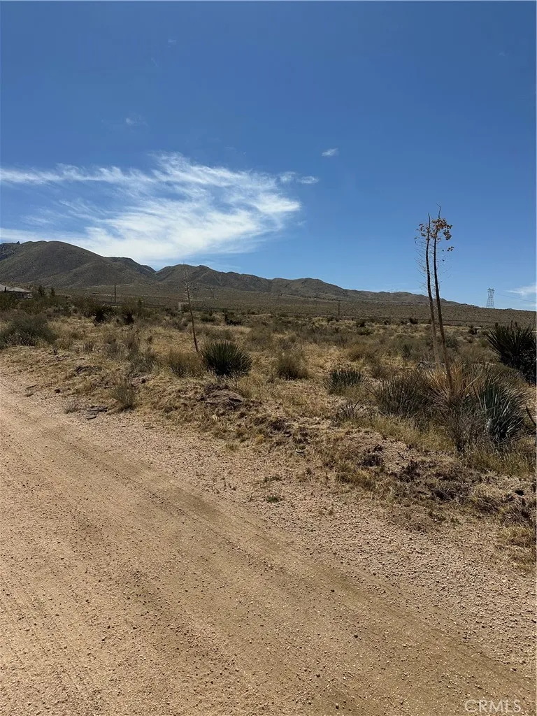 0 Draco Road Lucerne Valley, CA 92356 - Photo 16 of 18 a view of a dry yard with mountain view