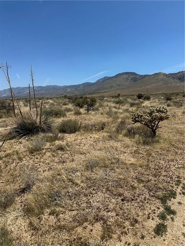 0 Draco Road Lucerne Valley, CA 92356 - Photo 8 of 18 a view of a mountain