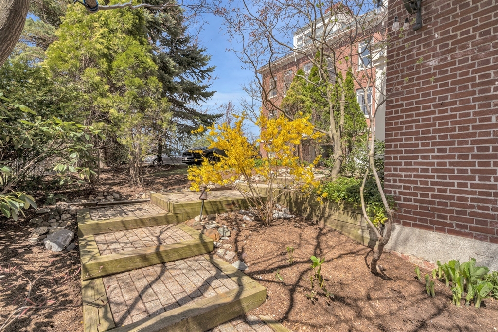 232 Summit Avenue, Unit A1 Brookline, MA 02446 - Photo 22 of 29 a view of flowers in a garden
