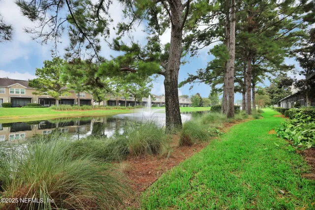 a view of a lake with a tree