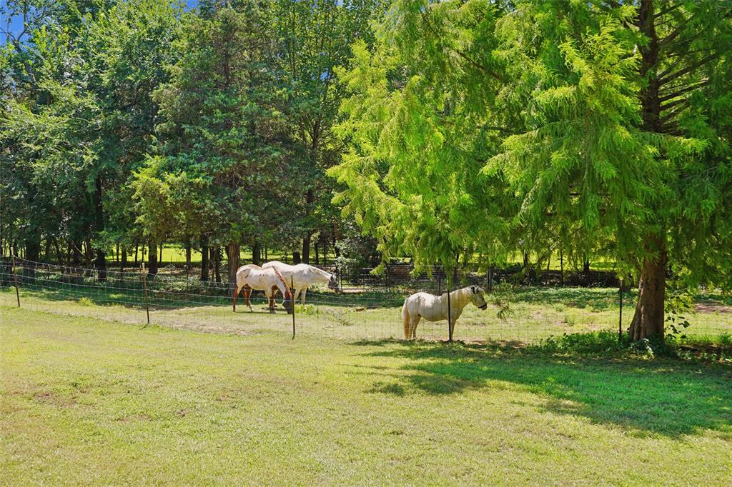 1433 Old Sadler Road Sadler, TX 76264 - Photo 4 of 40