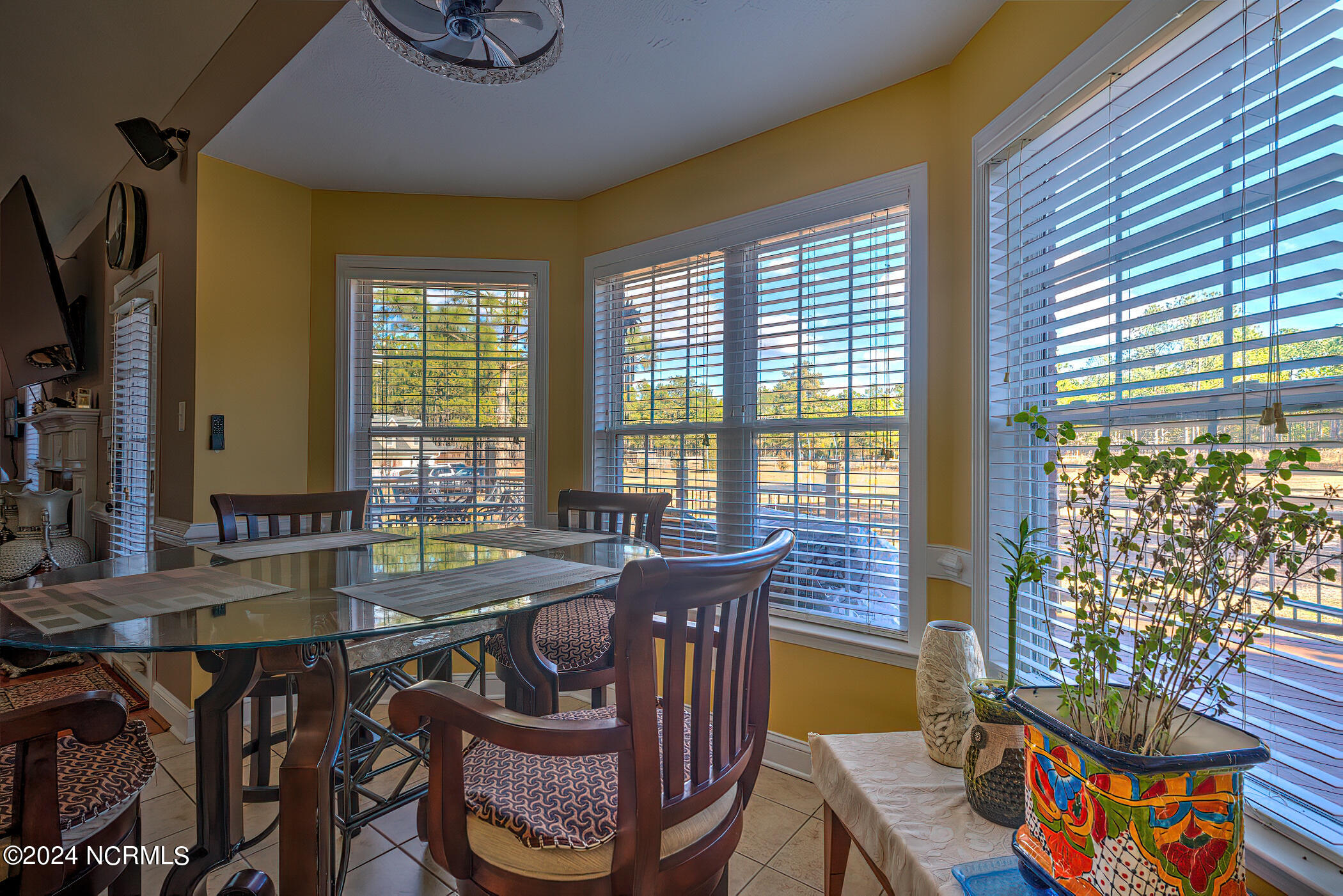 214 Beane Run Rockingham, NC 28379 - Photo 13 of 56 RS 1 DSC04018_19_20