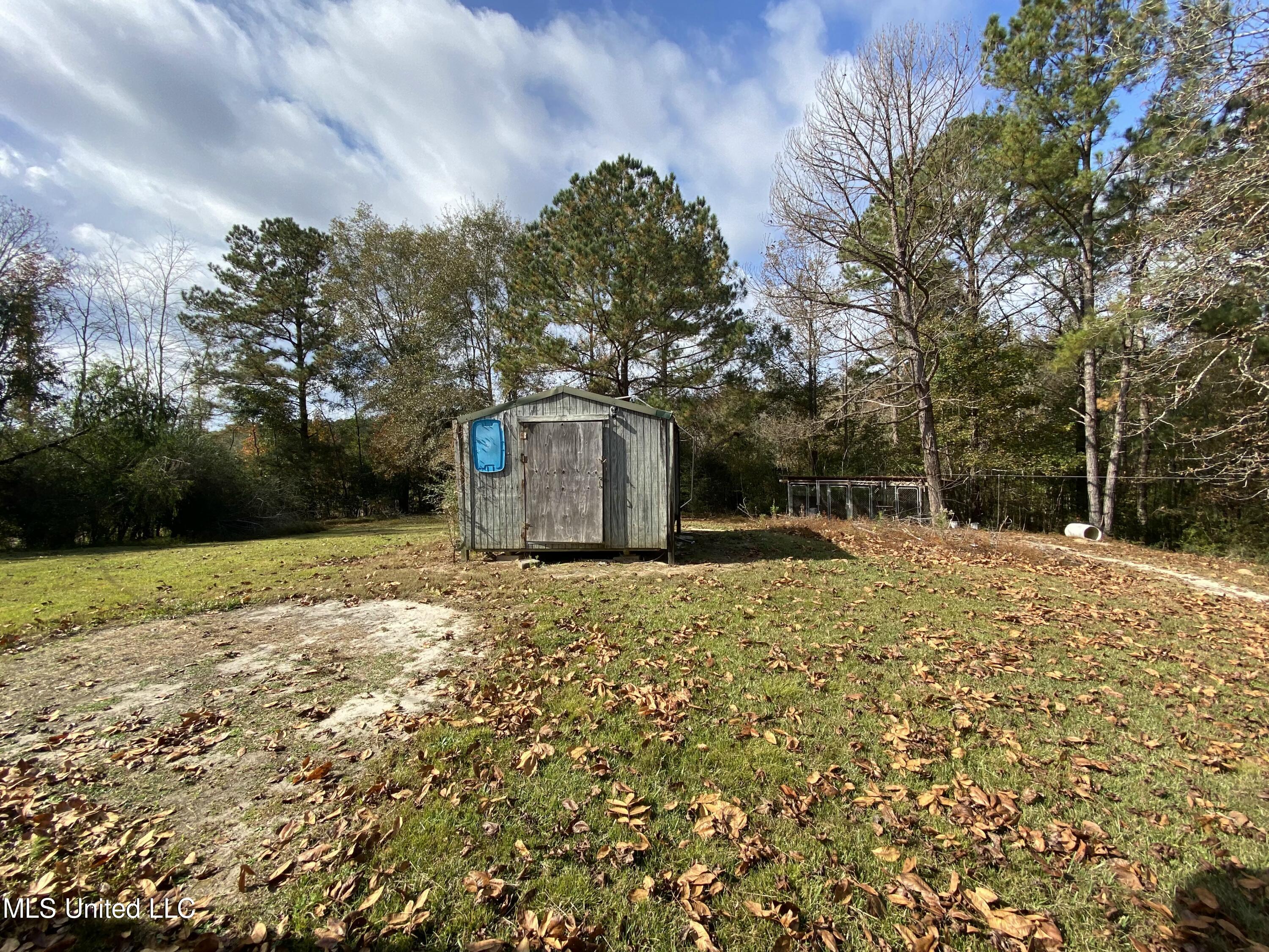 669 Kitchens Road Richton, MS 39476 - Photo 16 of 19 IMG_9226