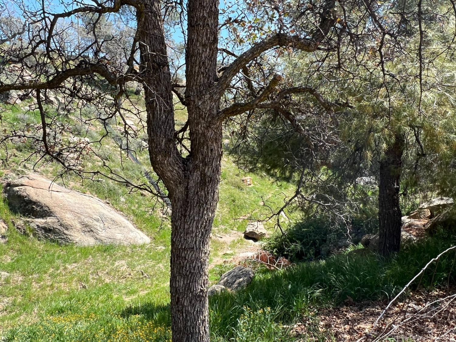 21621 Quail Springs Road Tehachapi, CA 93561 - Photo 41 of 43 Gallery Image 41