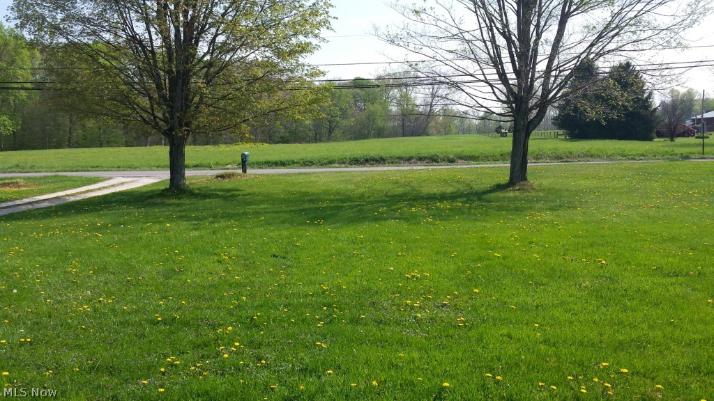 3727 Cook Road Rootstown, OH 44272 - Photo 5 of 8 The view from the front porch is peaceful and a great place to relax