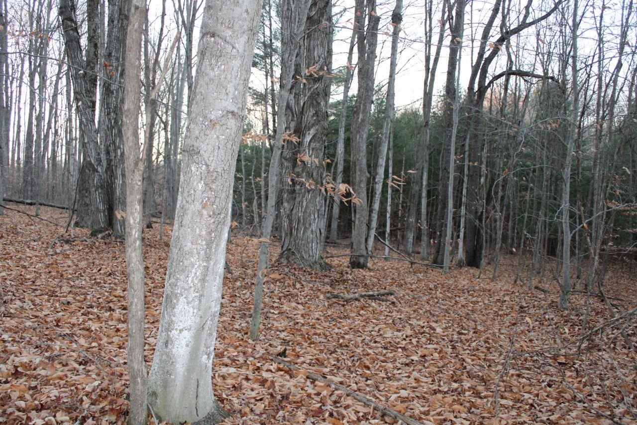 9396 Southwest Raspberry Ridge, Unit LOT: 7 Fife Lake, MI 49633 - Photo 82 of 86