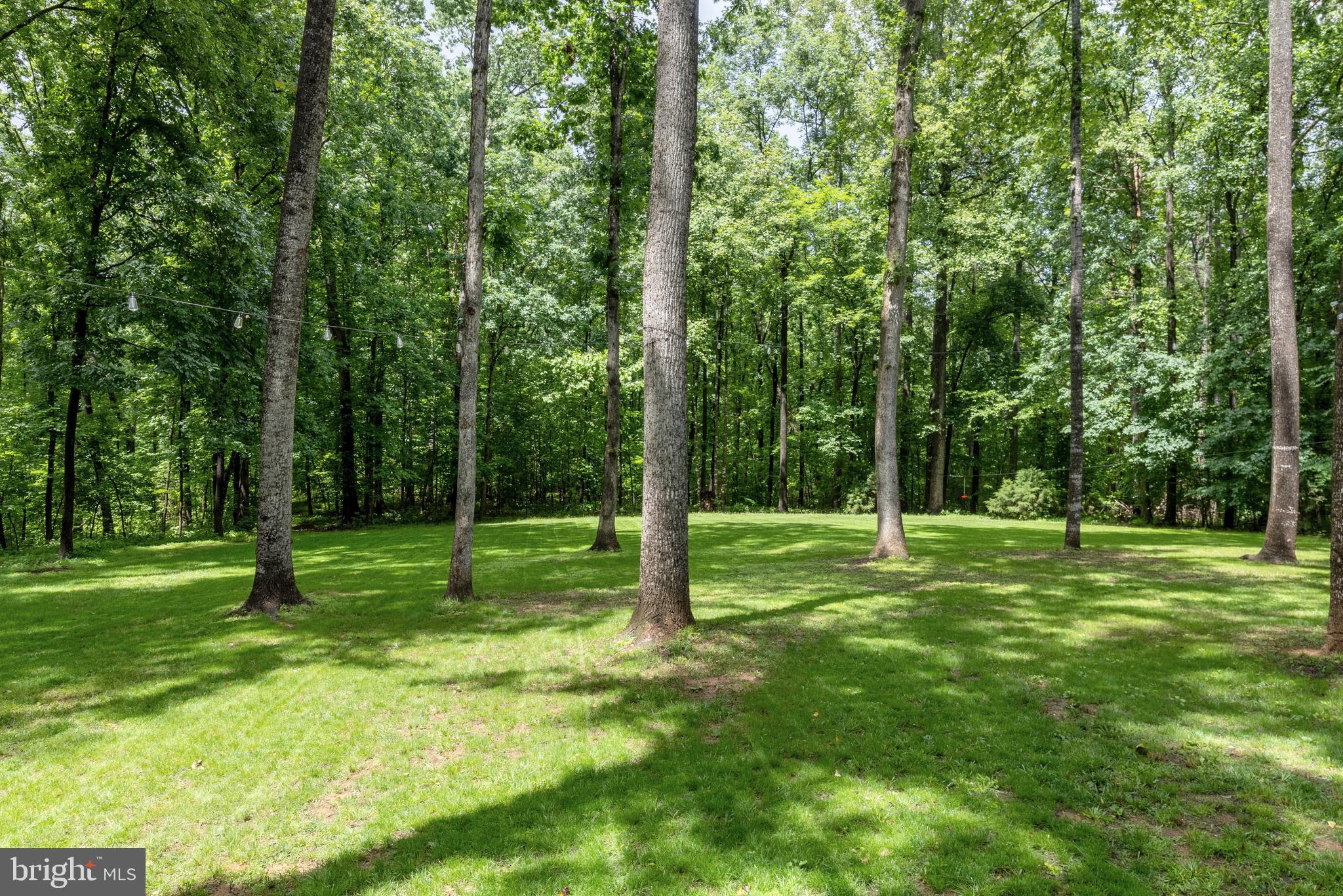 1425 Jacks Shop Road Rochelle, VA 22738 - Photo 56 of 56 a view of a park with a tree in a yard