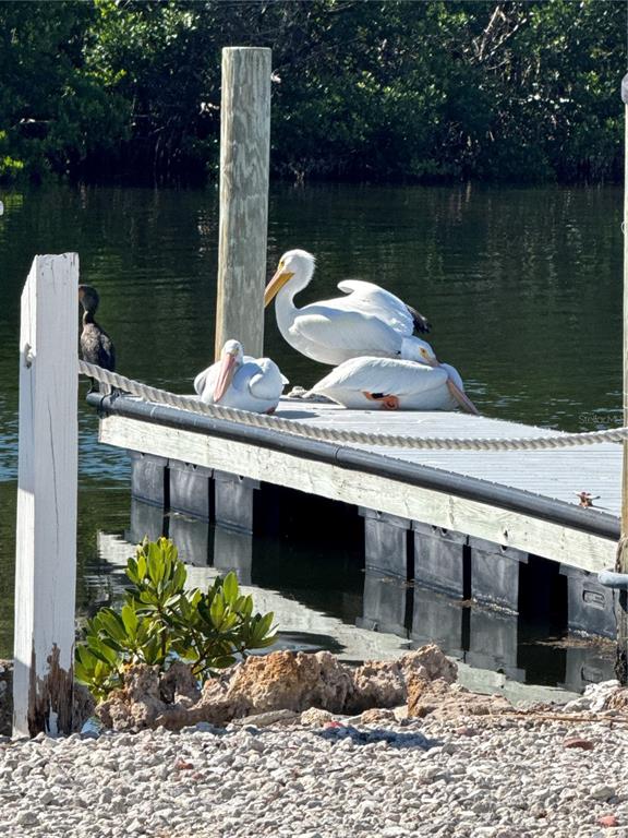 10315 Cortez Road West, Unit 302 Bradenton, FL 34210 - Photo 43 of 43